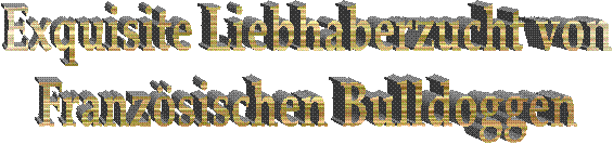 Exquisite Liebhaberzucht von
Franz�sischen Bulldoggen