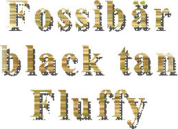 Multi - Champion
Ojabun Assan
FCI / creme