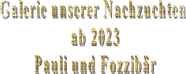 Multi - Champion
Ojabun Assan
FCI / creme