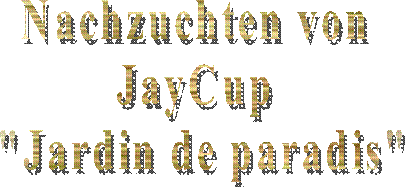 Multi - Champion
Ojabun Assan
FCI / creme