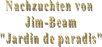 Multi - Champion
Ojabun Assan
FCI / creme