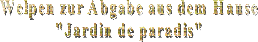 Multi - Champion
Ojabun Assan
FCI / creme